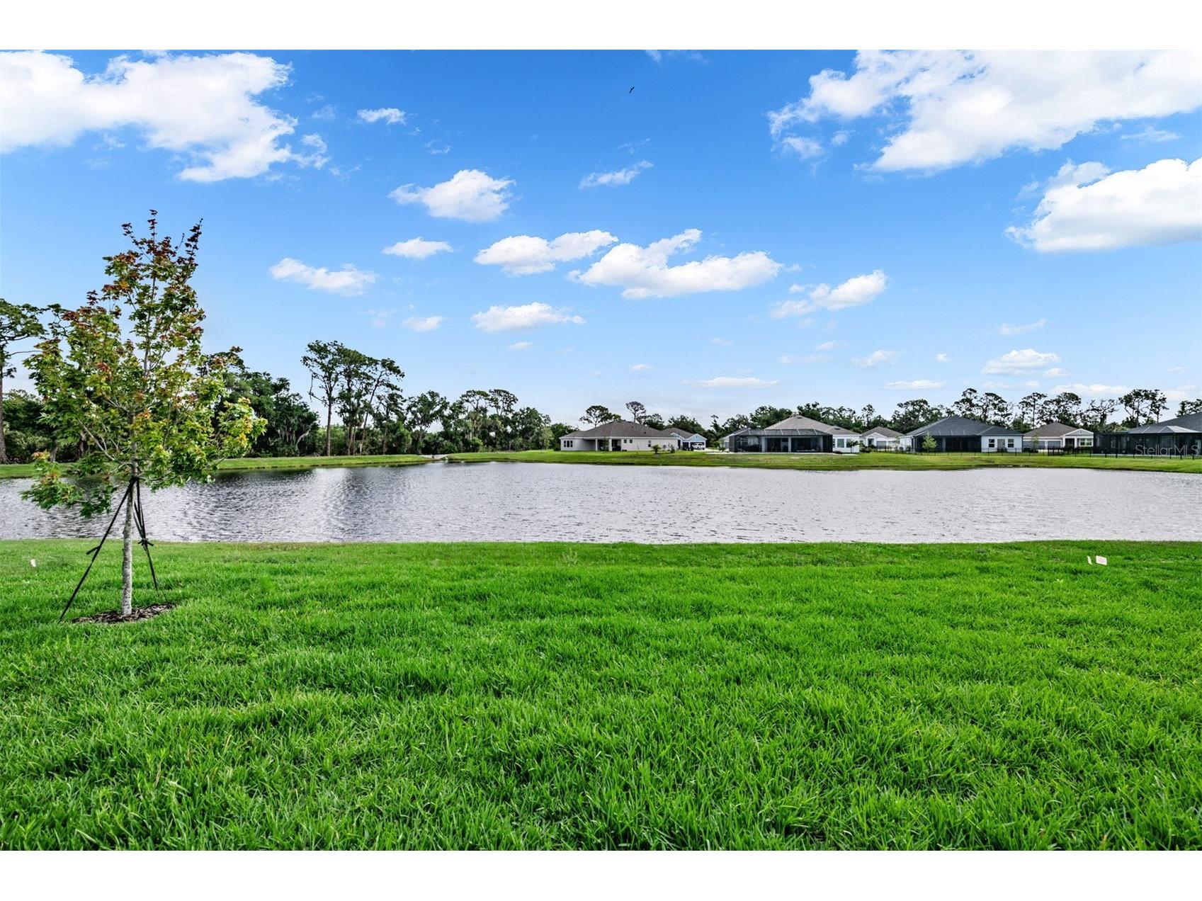 11817 Moonsail Drive Palmetto FL 34221 TB8497211 image38