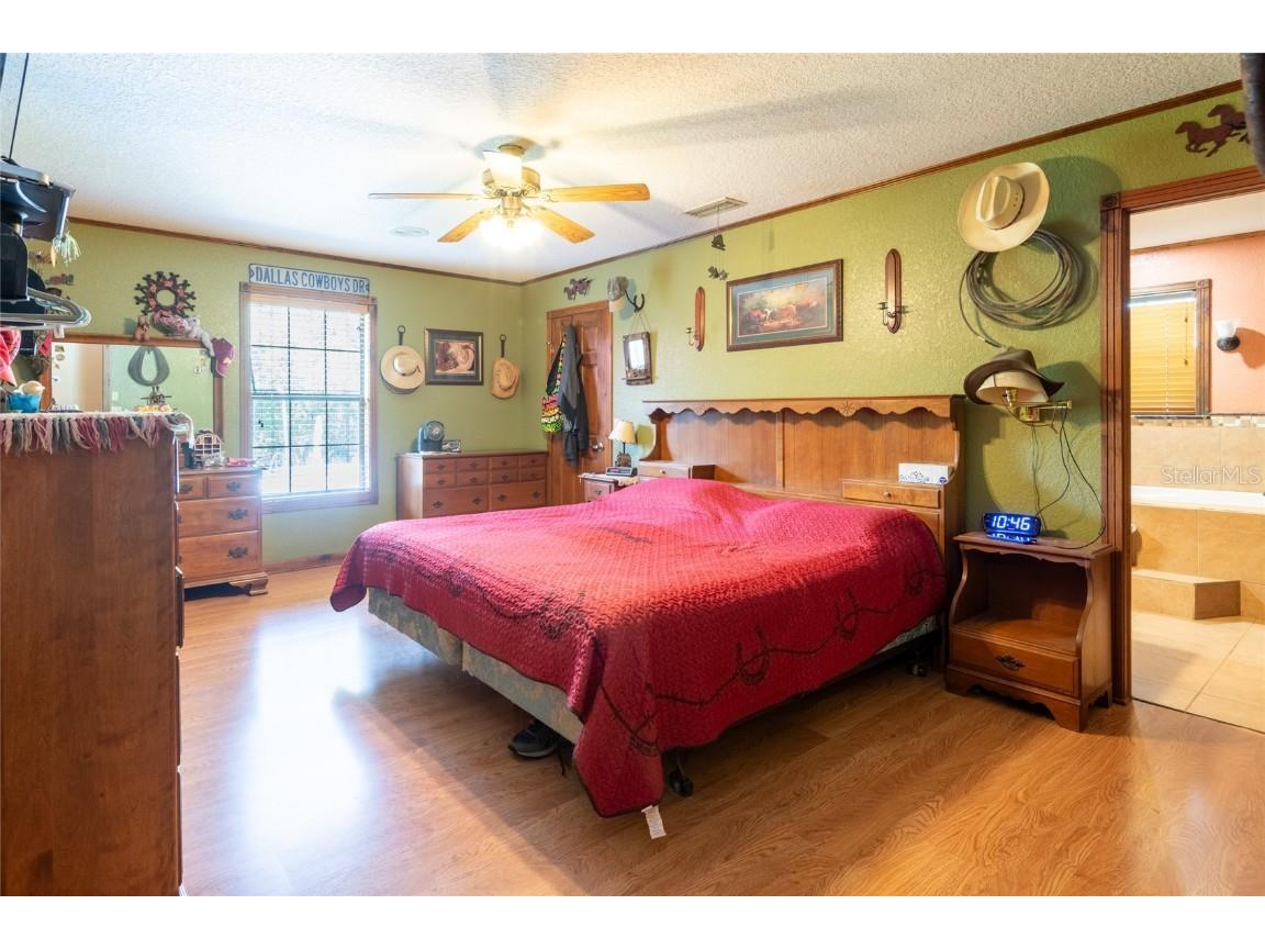 11817 Murcott Way Land O Lakes FL 34638 U8212656 image14