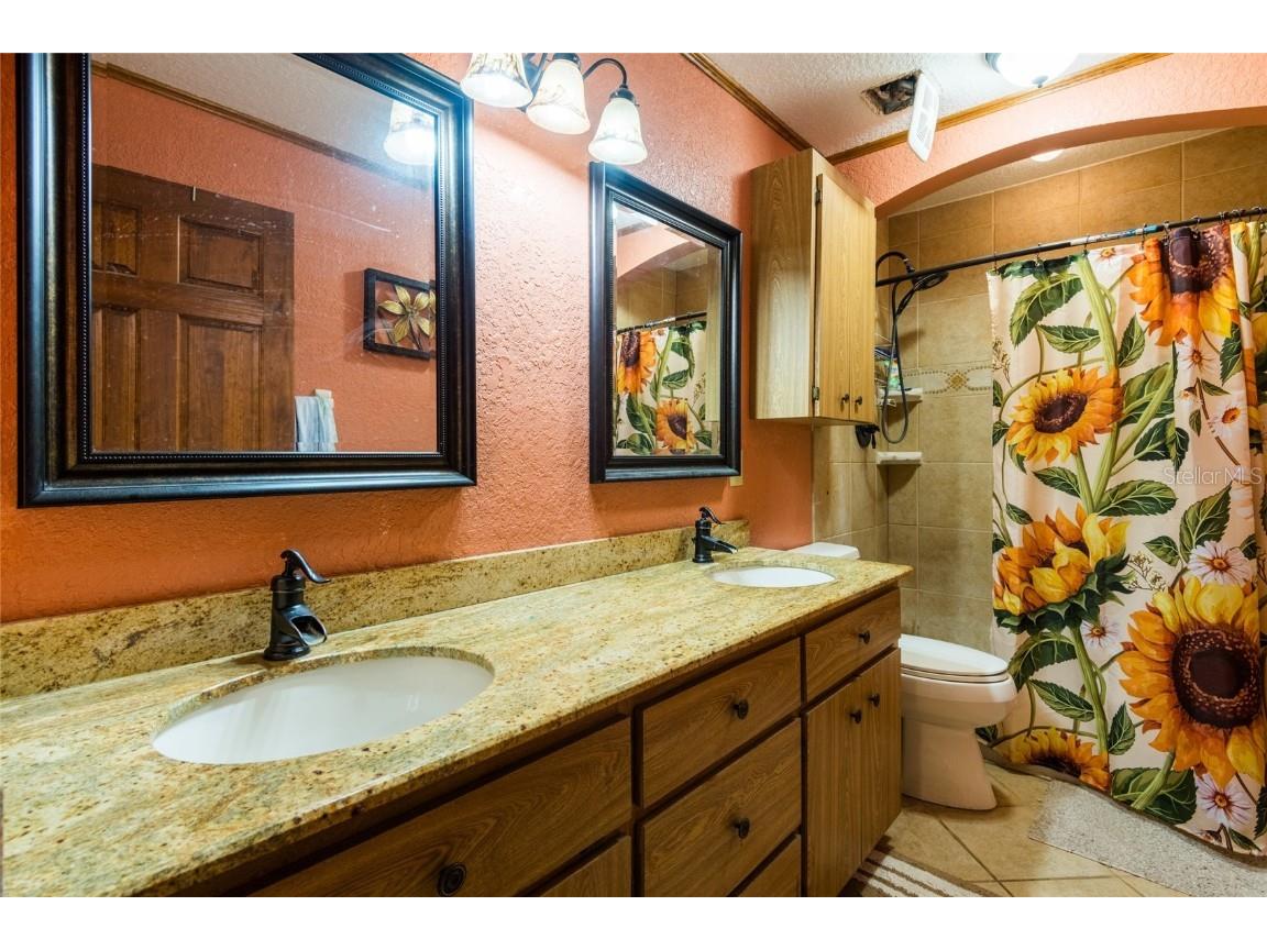 11817 Murcott Way Land O Lakes FL 34638 U8212656 image15