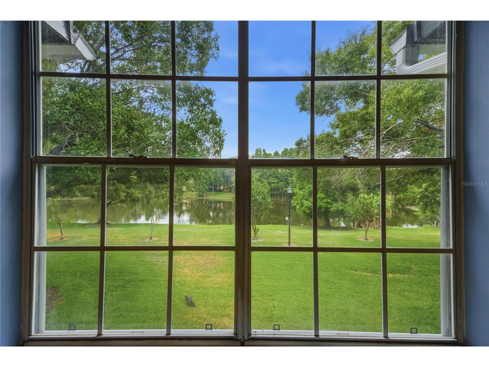 11817 Skylake Place #H Temple Terrace FL 33617 TB8506997 image13