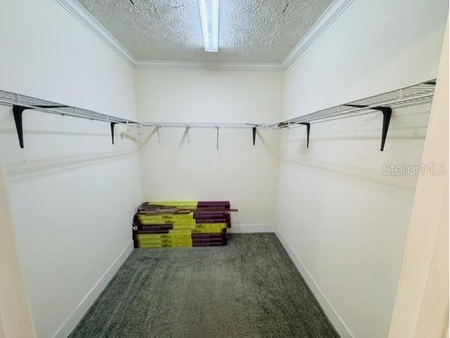 11817 SW 58th Street Webster FL 33597 G5112819 image19