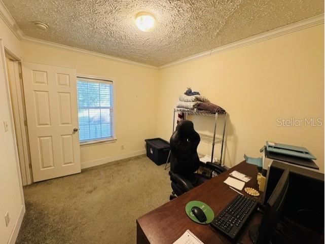 11817 SW 58th Street Webster FL 33597 G5112819 image25