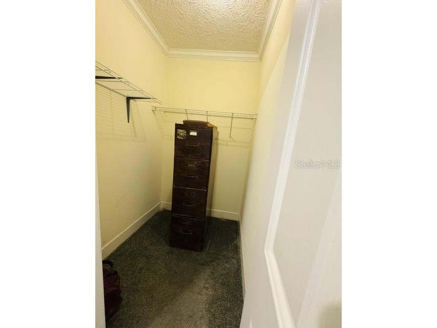11817 SW 58th Street Webster FL 33597 G5112819 image27
