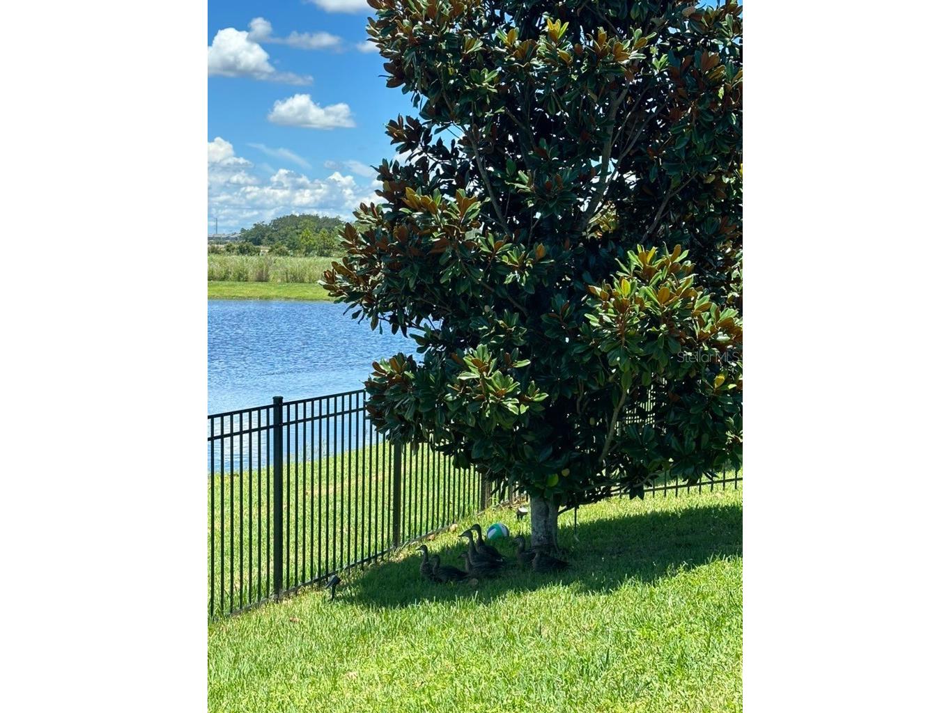 11819 Imaginary Way Orlando FL 32832 O6413713 image42