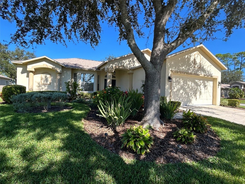 11819 Scenic Hills Boulevard Hudson FL 34667 TB8443377 image1