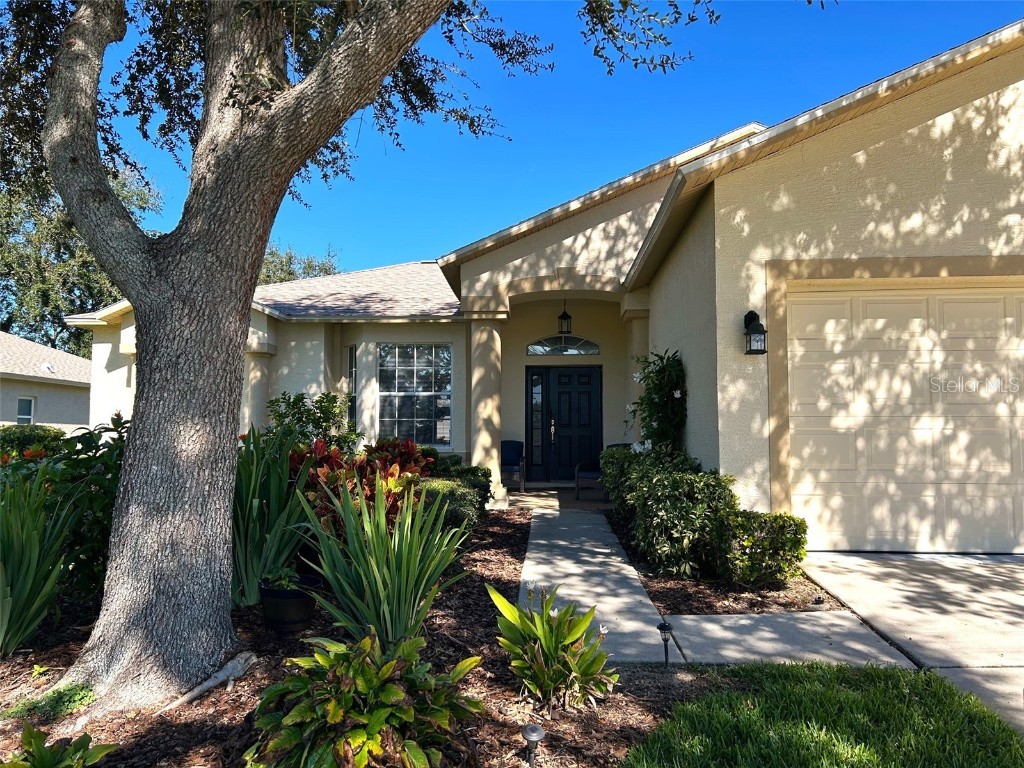 11819 Scenic Hills Boulevard Hudson FL 34667 TB8443377 image3