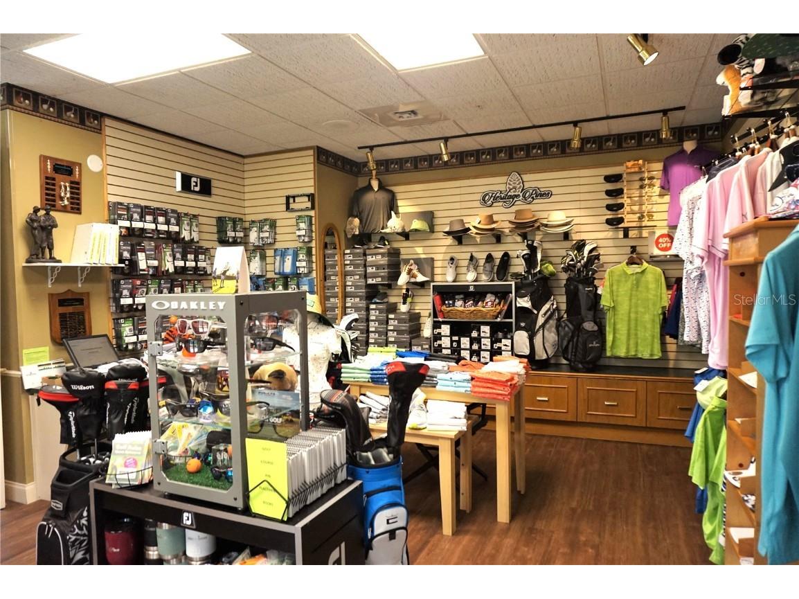 11819 Scenic Hills Boulevard Hudson FL 34667 TB8443377 image31