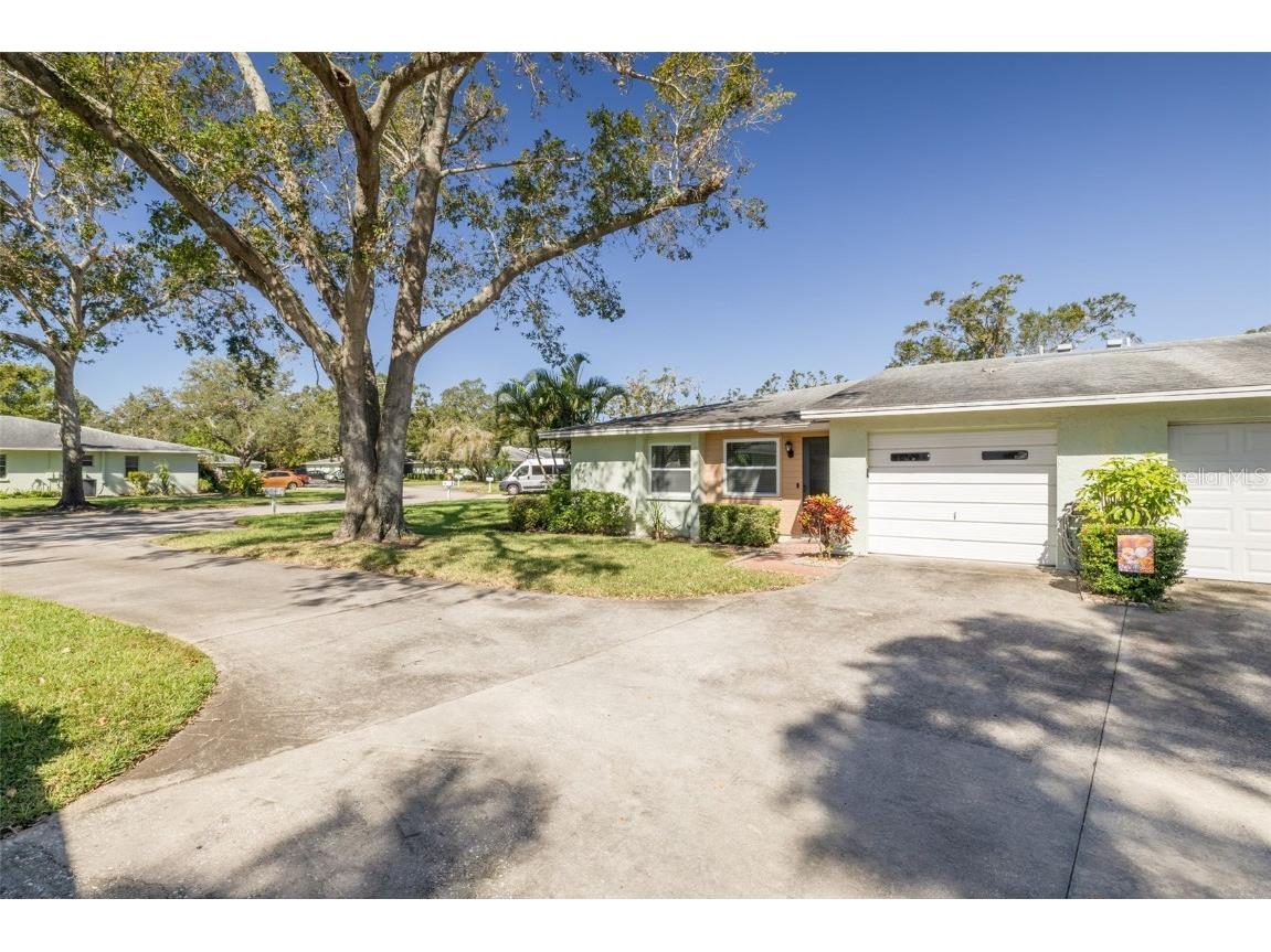 1182 Orange Tree Circle E #B Palm Harbor FL 34684 TB8311812 image1