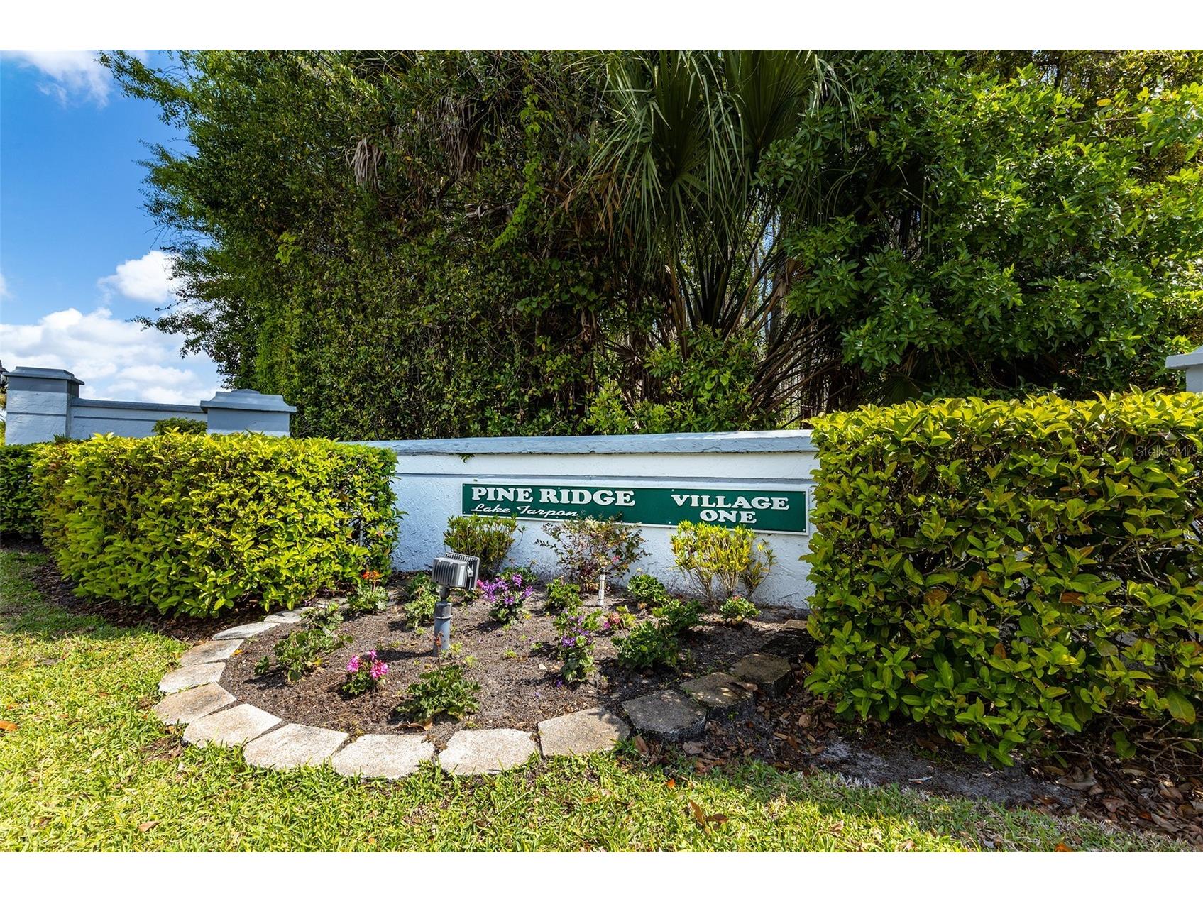1182 Pine Ridge Circle W #A2 Tarpon Springs FL 34688 TB8507330 image25
