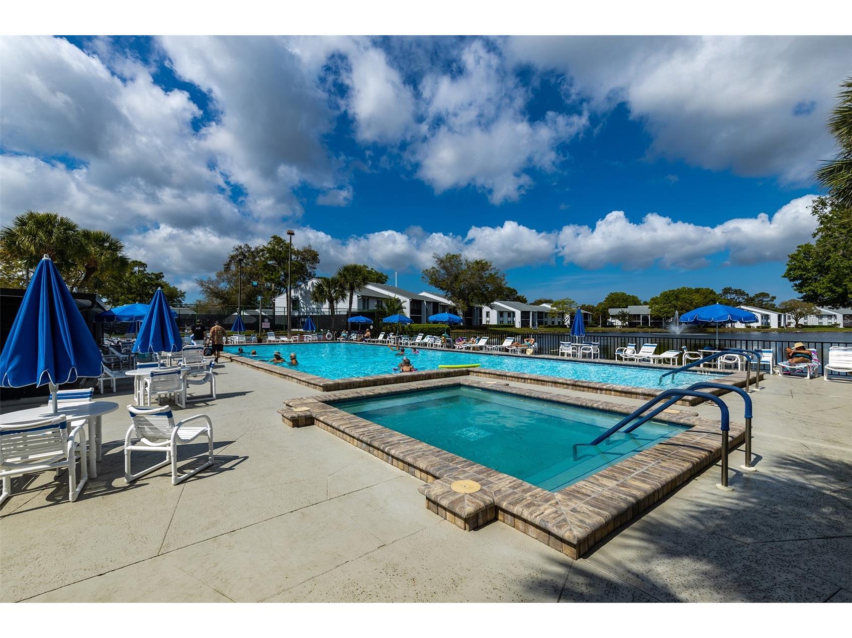 1182 Pine Ridge Circle W #A2 Tarpon Springs FL 34688 TB8507330 image27
