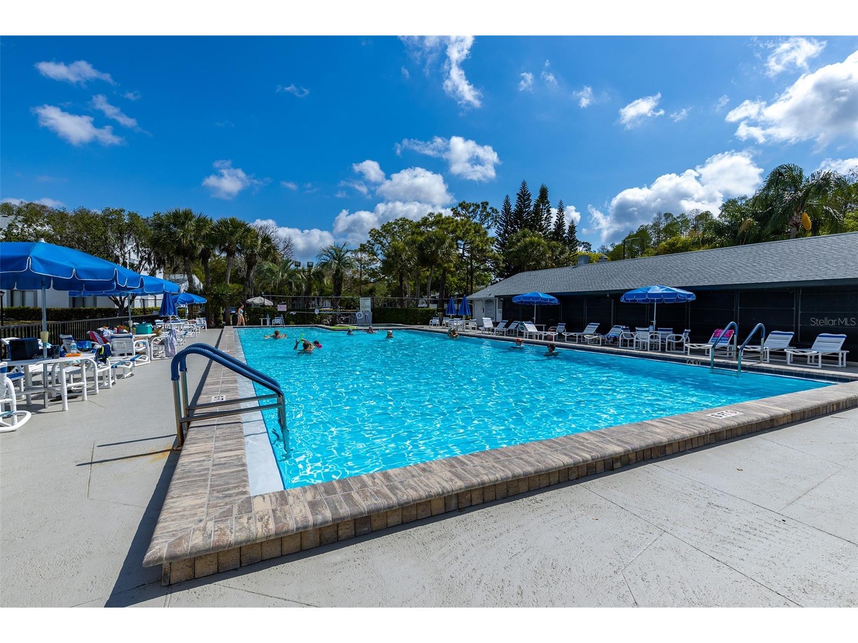 1182 Pine Ridge Circle W #A2 Tarpon Springs FL 34688 TB8507330 image28
