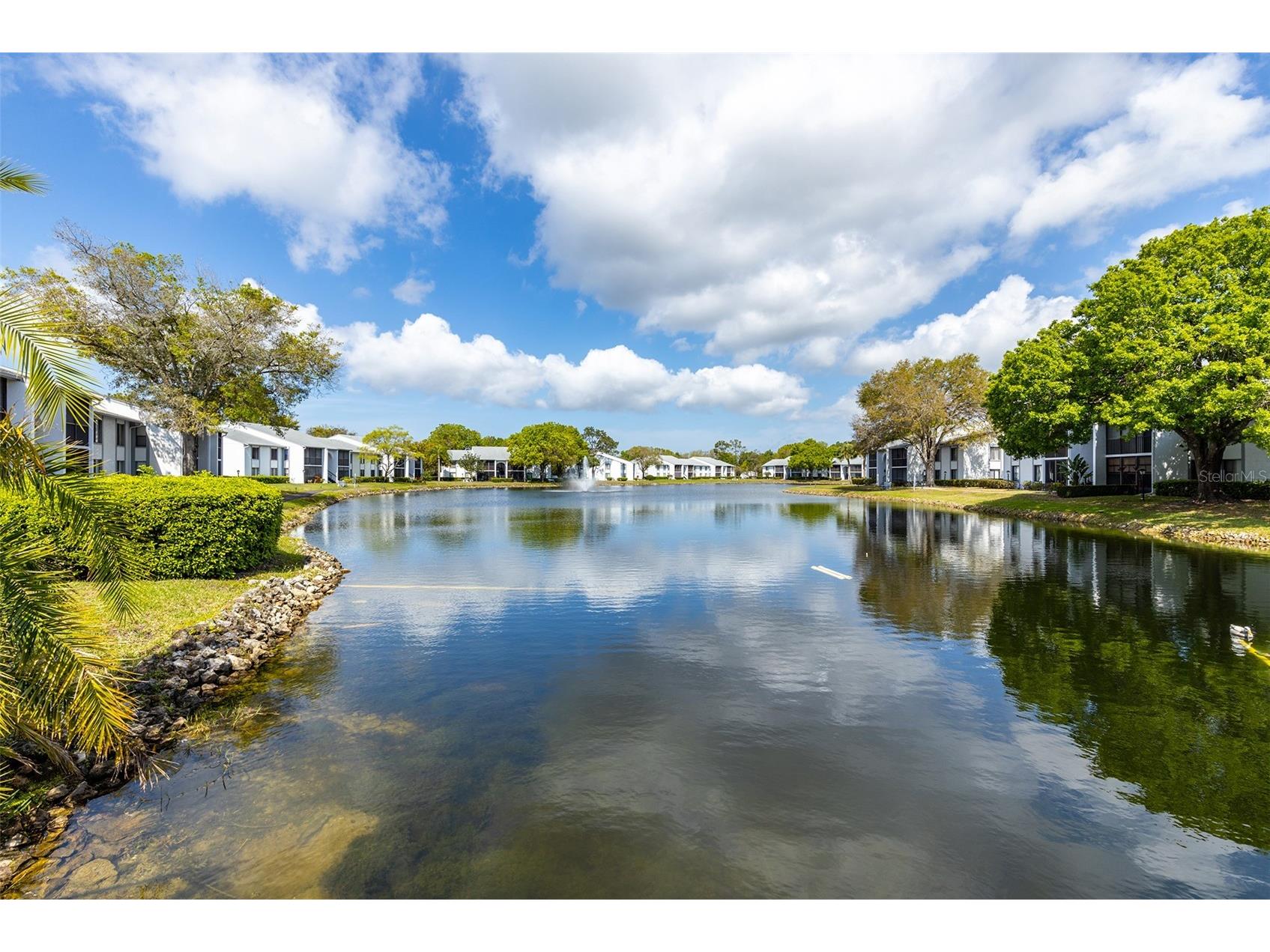 1182 Pine Ridge Circle W #A2 Tarpon Springs FL 34688 TB8507330 image29