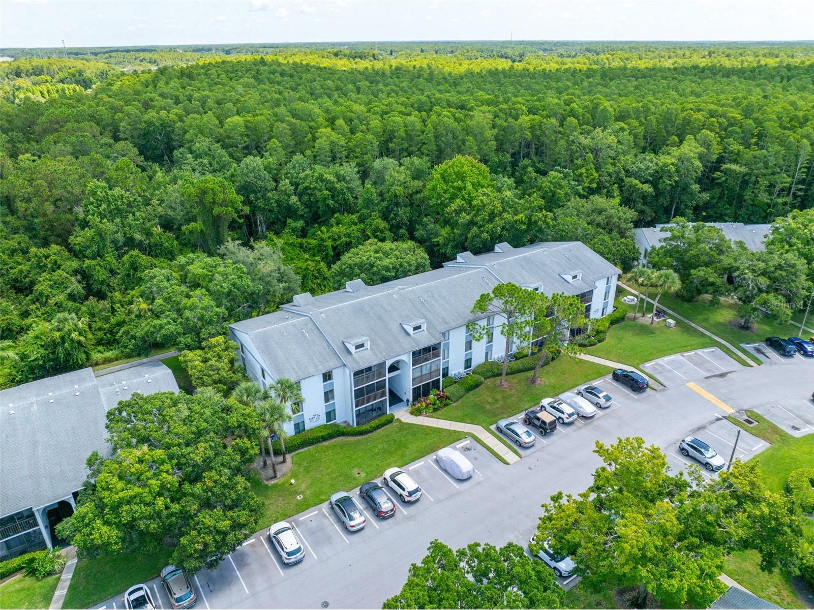1182 Pine Ridge Circle W #A3 Tarpon Springs FL 34688 TB8526008 image24