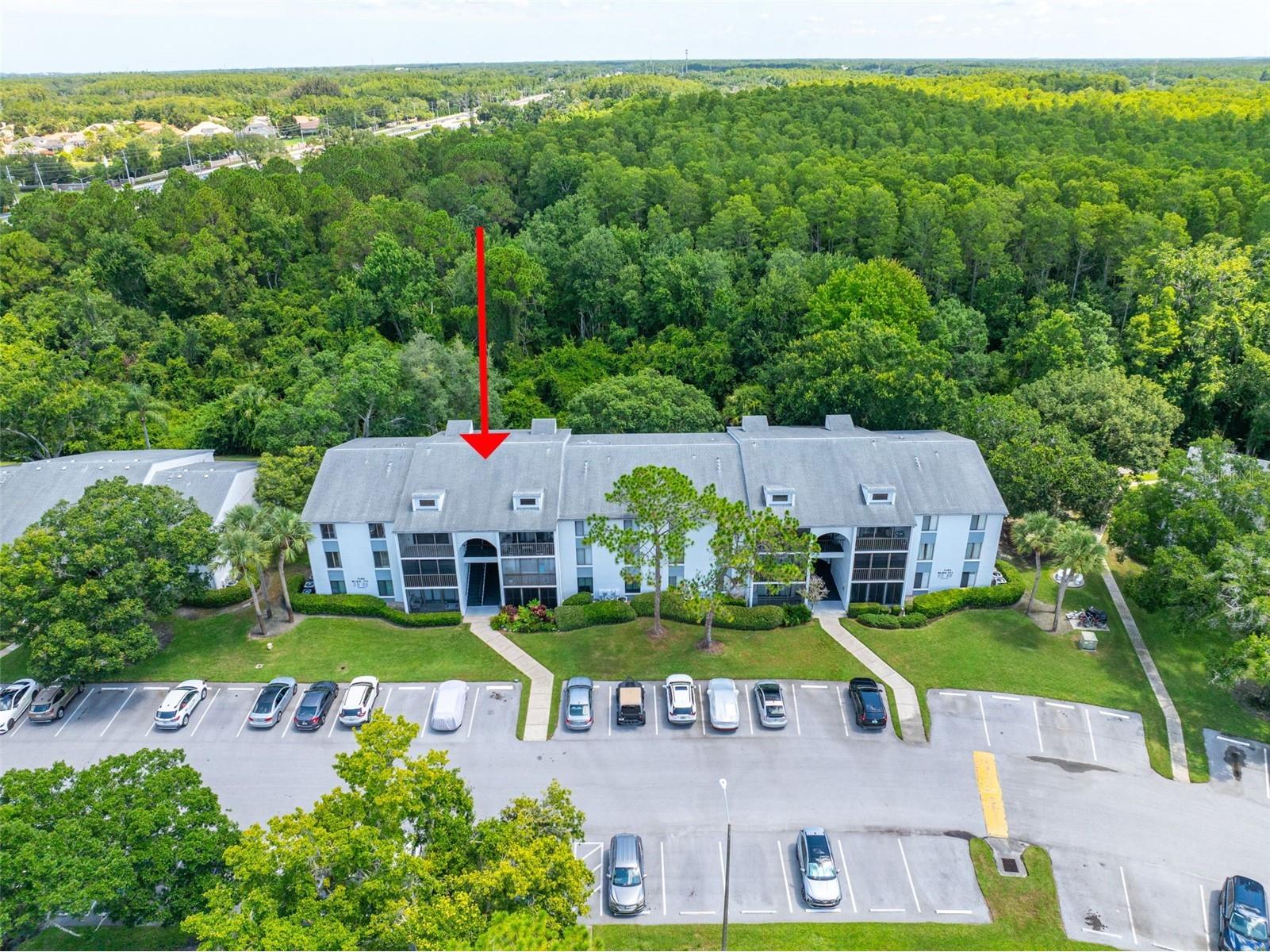 1182 Pine Ridge Circle W #A3 Tarpon Springs FL 34688 TB8526008 image25