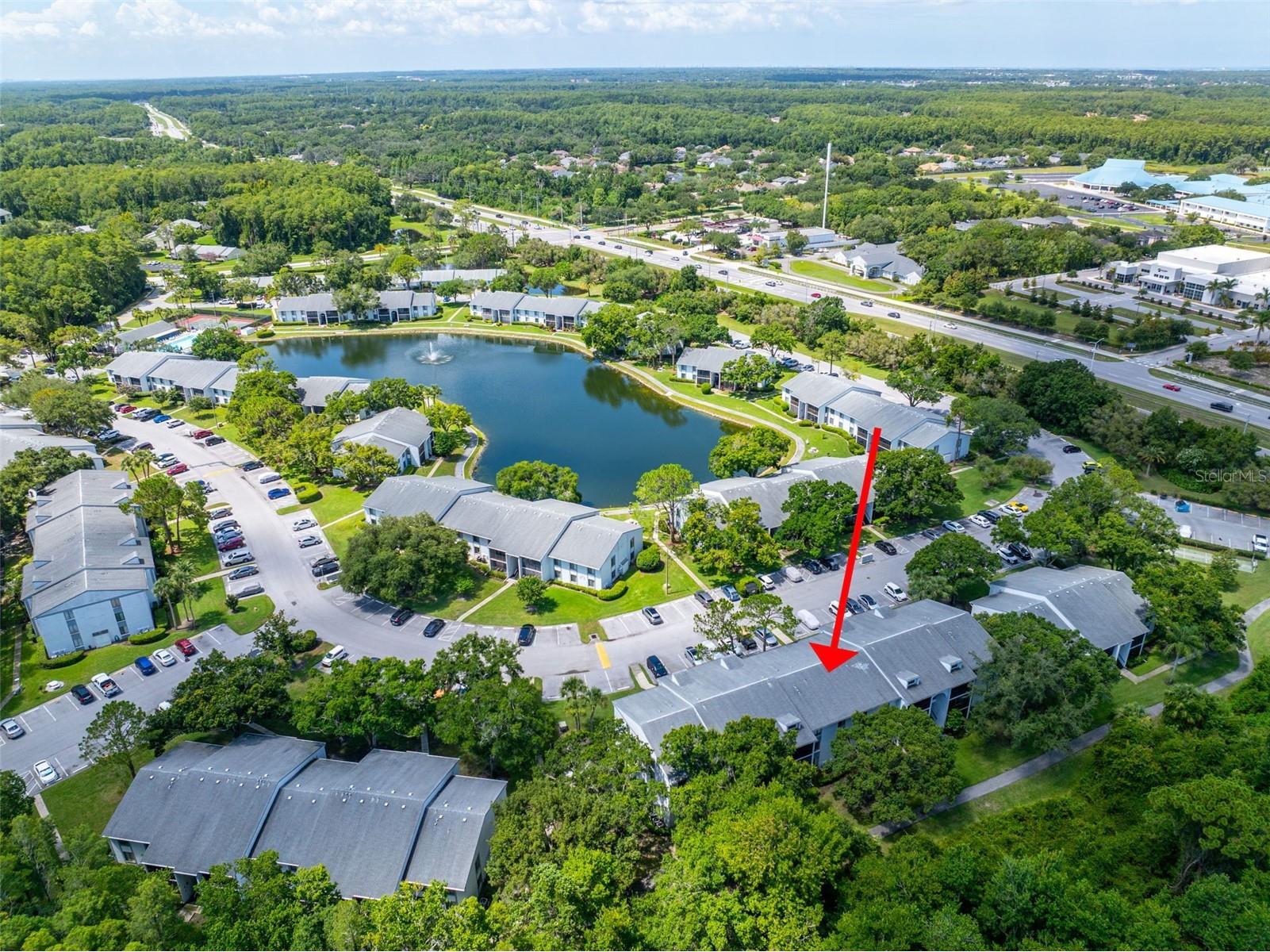 1182 Pine Ridge Circle W #A3 Tarpon Springs FL 34688 TB8526008 image26