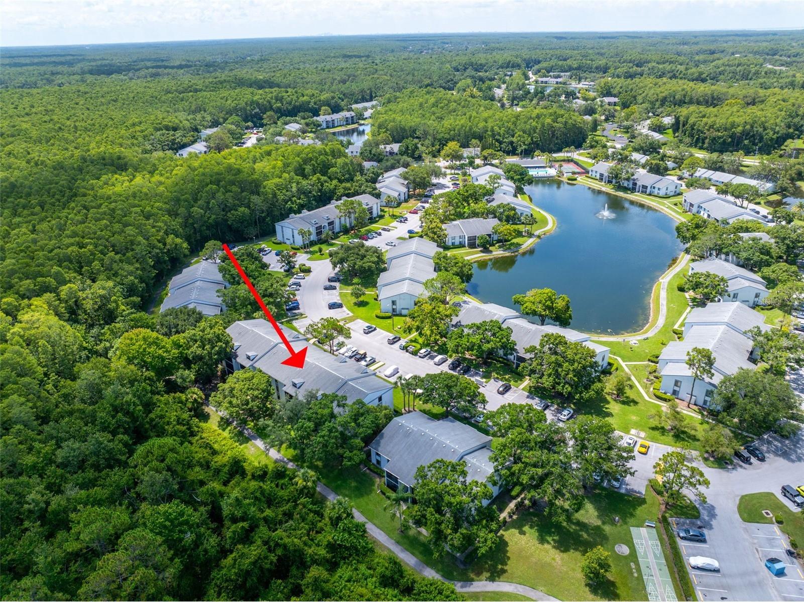 1182 Pine Ridge Circle W #A3 Tarpon Springs FL 34688 TB8526008 image28