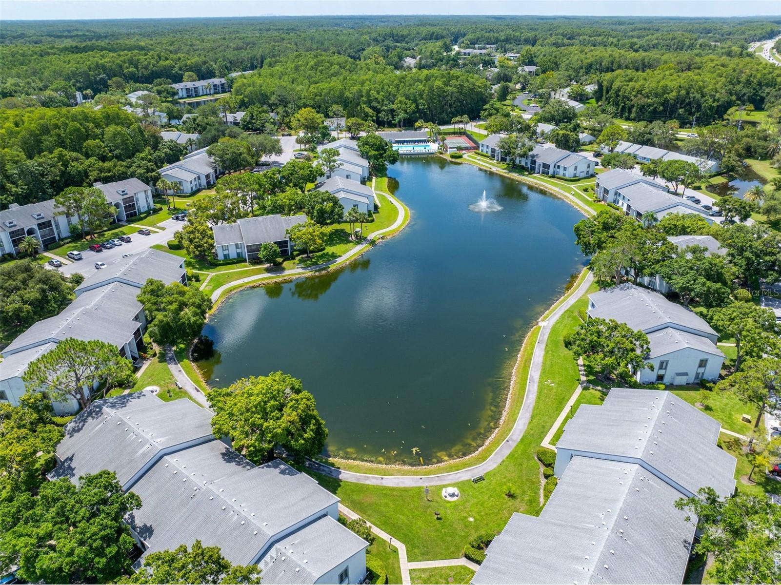 1182 Pine Ridge Circle W #A3 Tarpon Springs FL 34688 TB8526008 image29