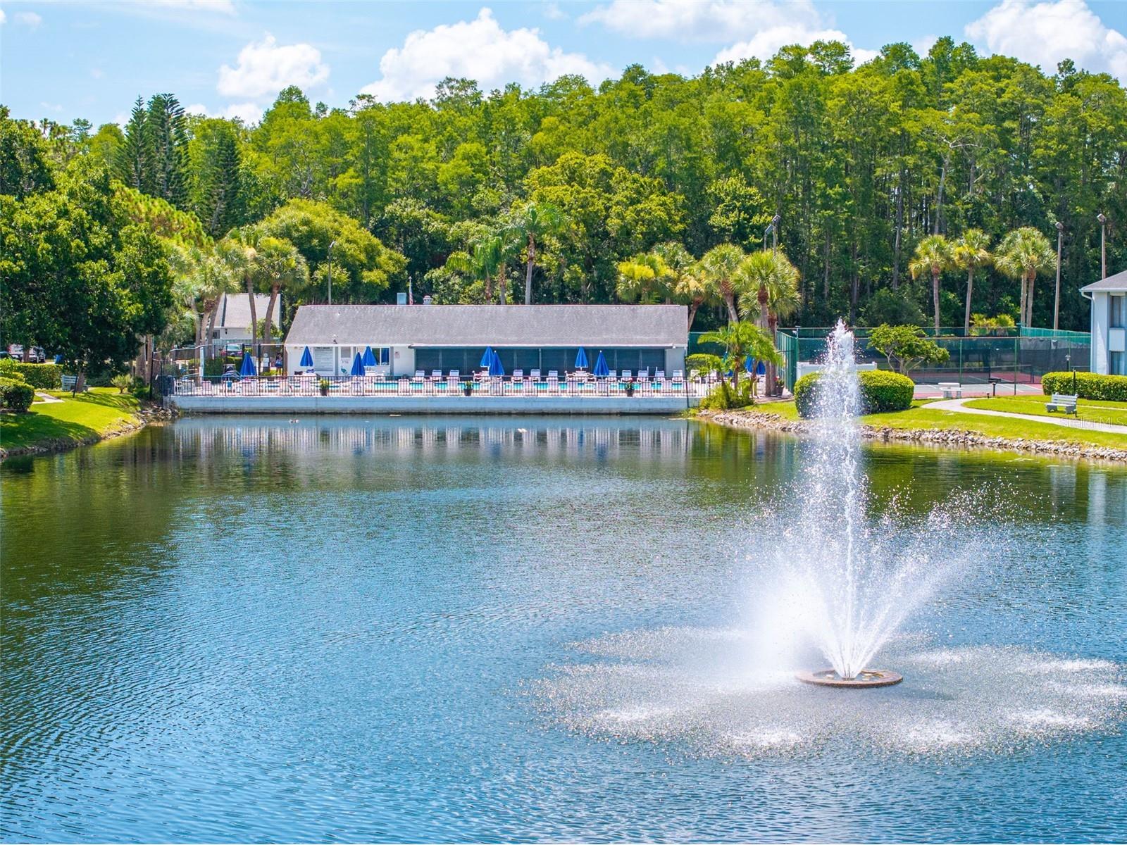 1182 Pine Ridge Circle W #A3 Tarpon Springs FL 34688 TB8526008 image33