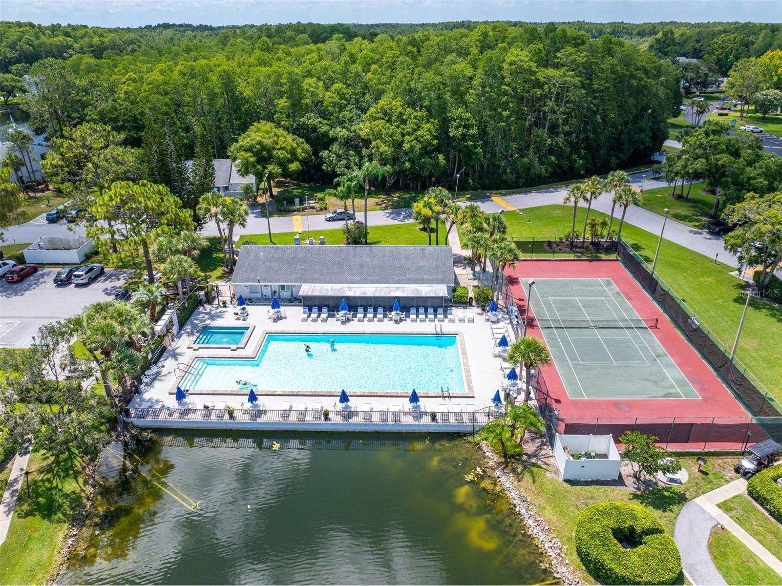 1182 Pine Ridge Circle W #A3 Tarpon Springs FL 34688 TB8526008 image34