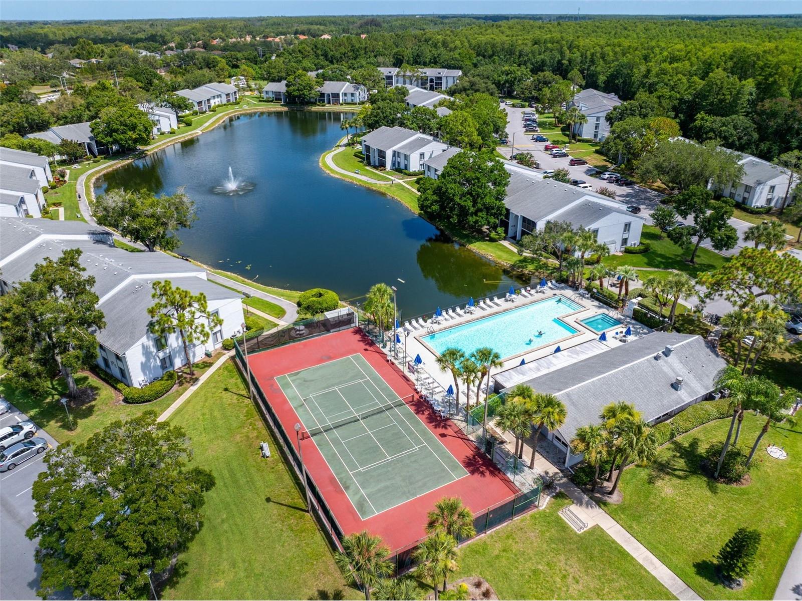 1182 Pine Ridge Circle W #A3 Tarpon Springs FL 34688 TB8526008 image35