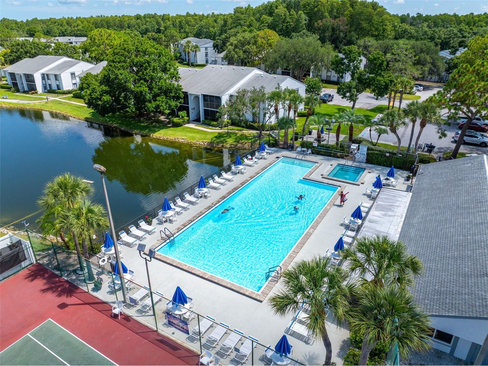 1182 Pine Ridge Circle W #A3 Tarpon Springs FL 34688 TB8526008 image37