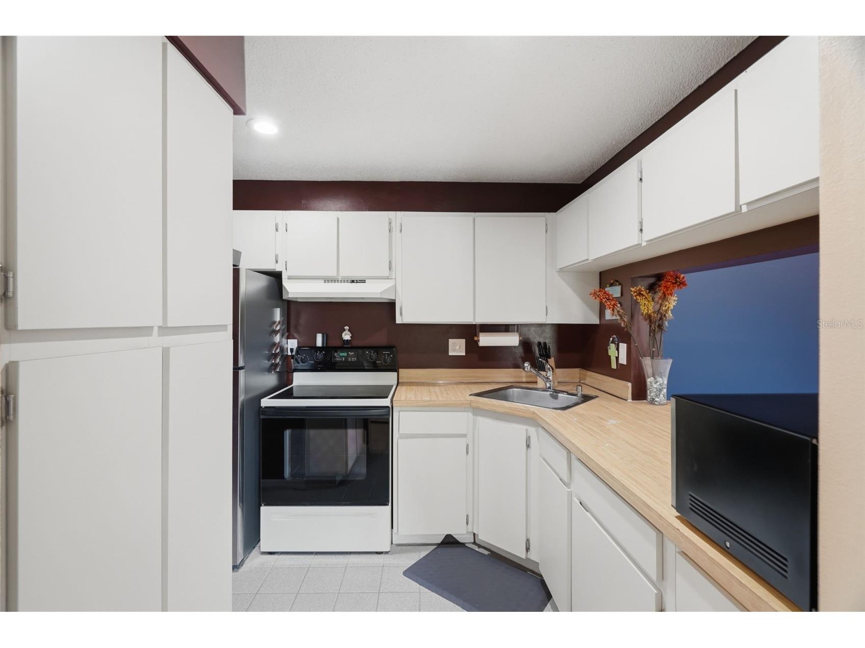 1182 Pine Ridge Circle W #A3 Tarpon Springs FL 34688 TB8526008 image4