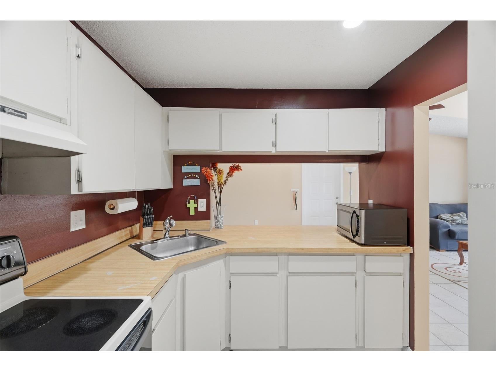 1182 Pine Ridge Circle W #A3 Tarpon Springs FL 34688 TB8526008 image5