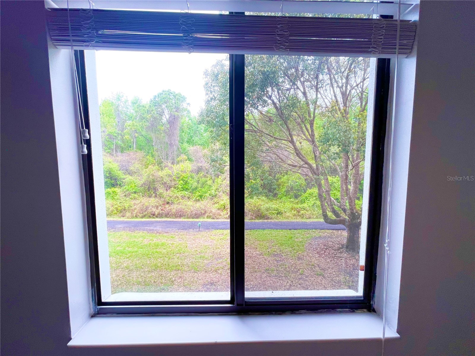 1182 Pine Ridge Circle W #C-2 Tarpon Springs FL 34688 W7886265 image16
