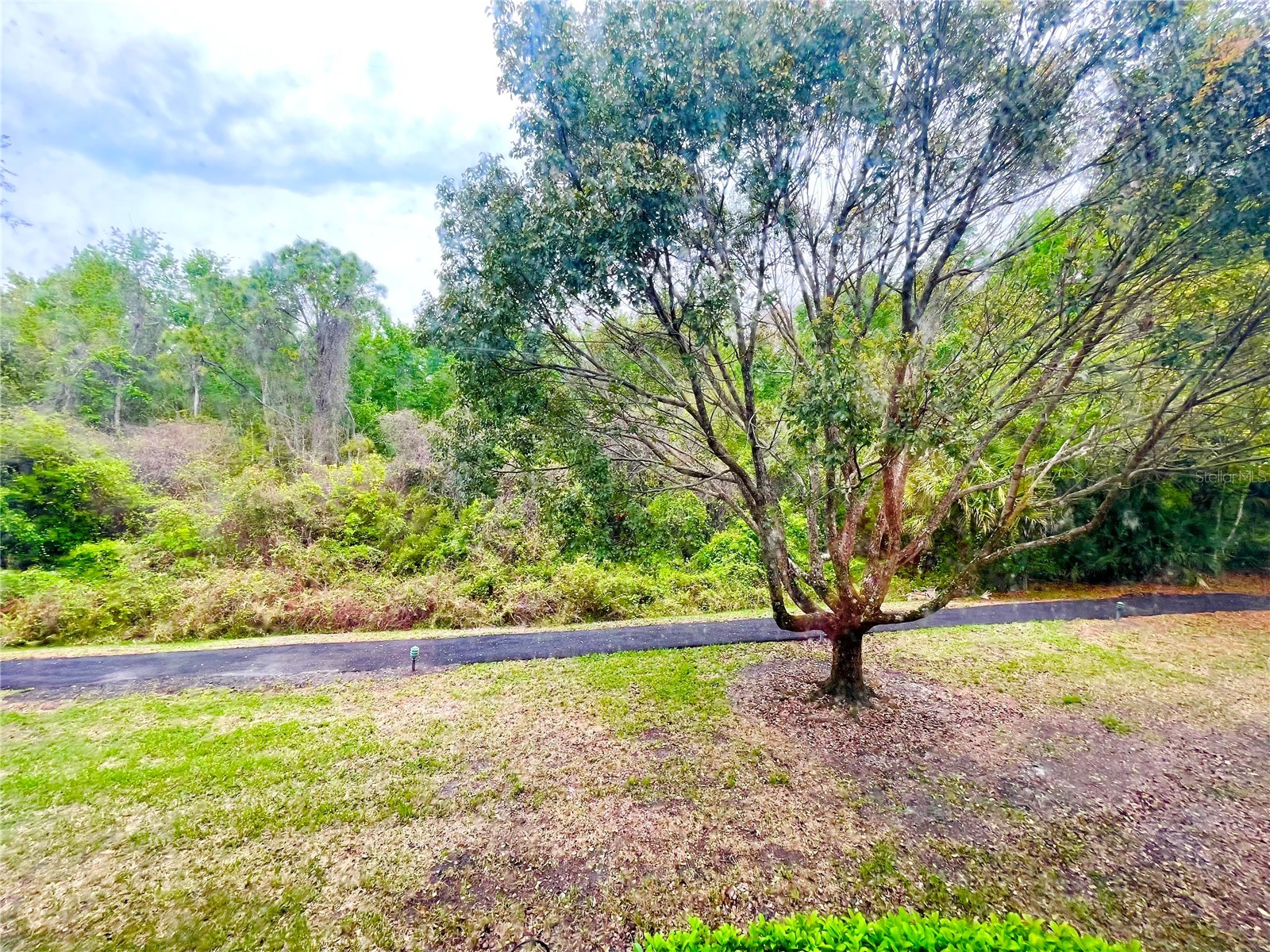 1182 Pine Ridge Circle W #C-2 Tarpon Springs FL 34688 W7886265 image17