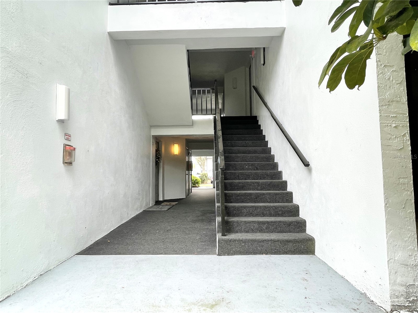 1182 Pine Ridge Circle W #C-2 Tarpon Springs FL 34688 W7886265 image2