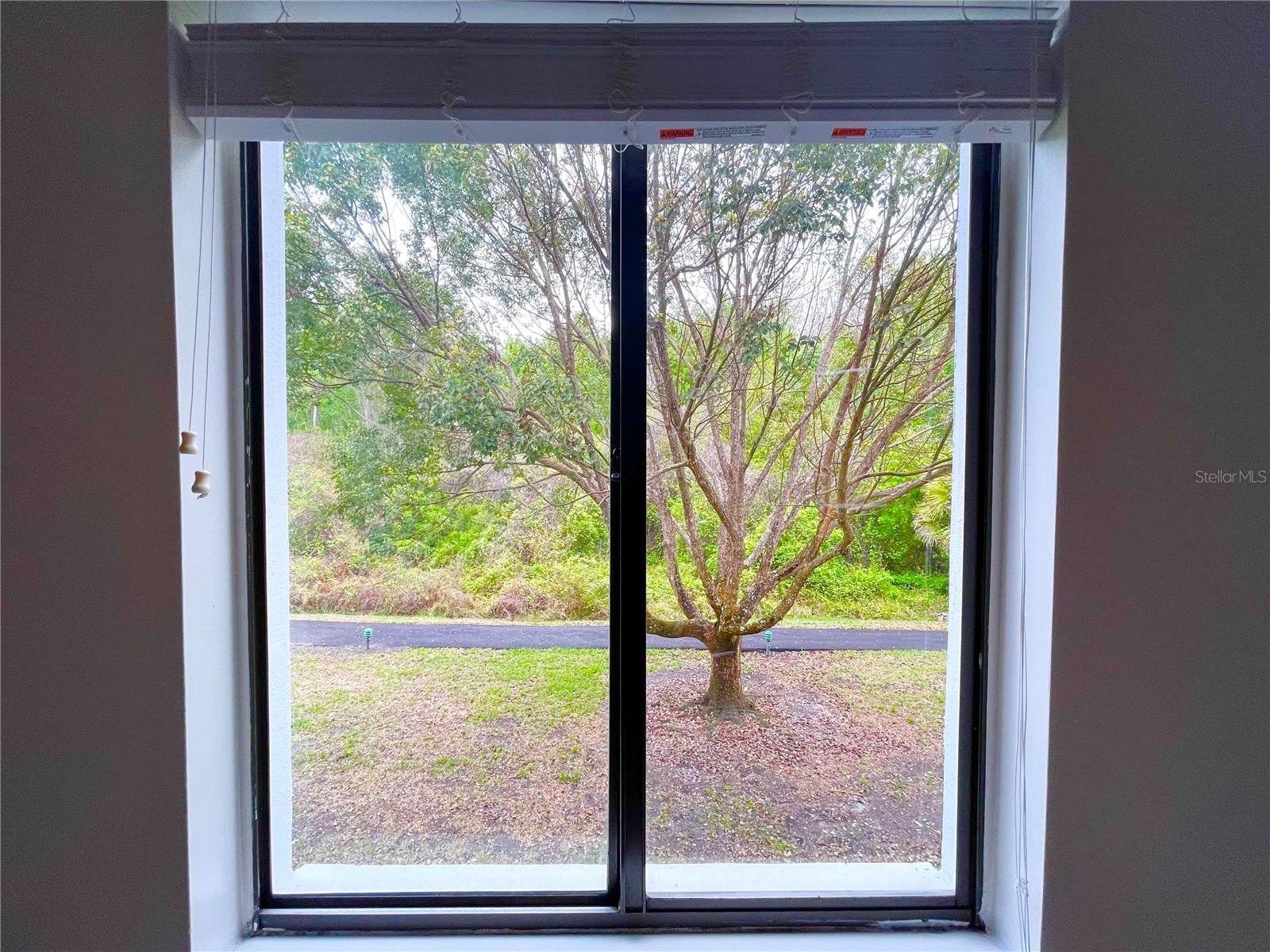 1182 Pine Ridge Circle W #C-2 Tarpon Springs FL 34688 W7886265 image23