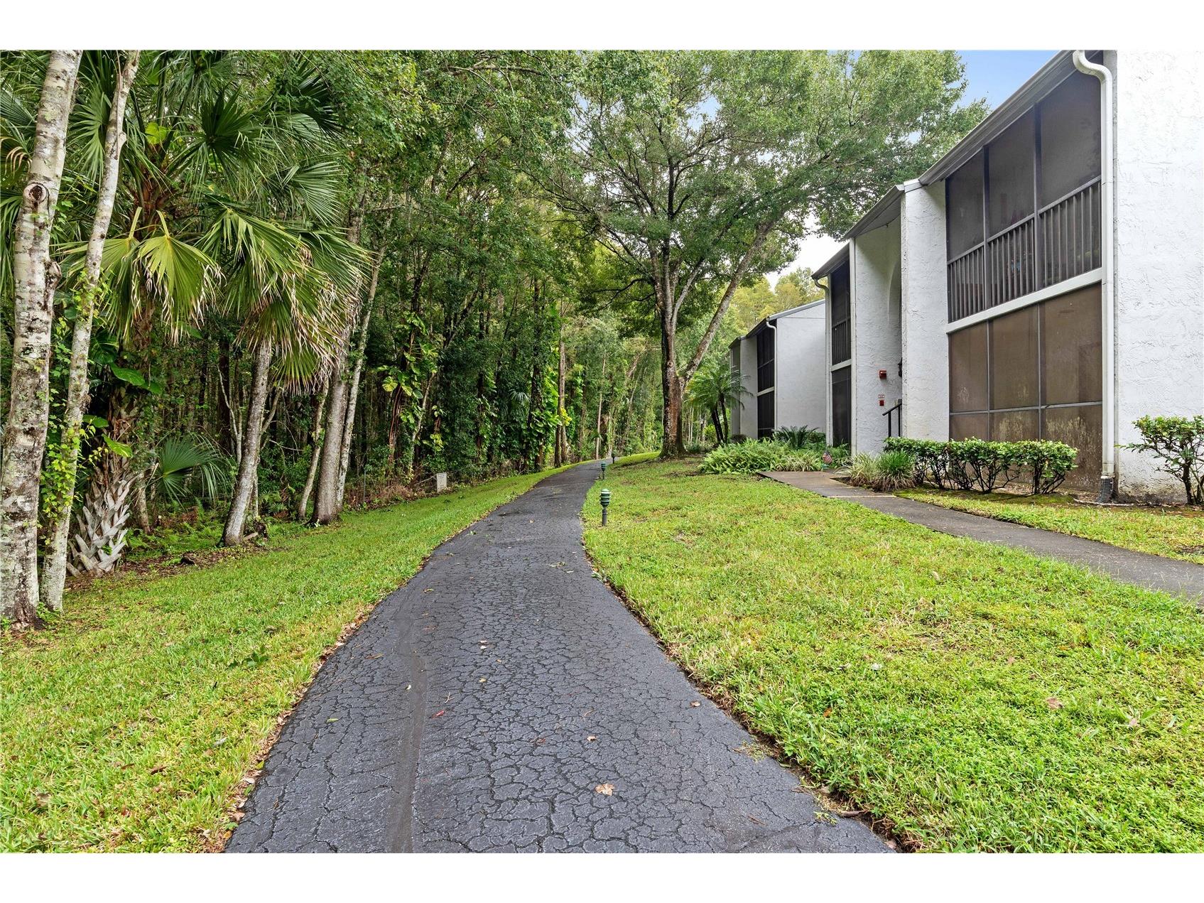 1182 Pine Ridge Circle W #C-2 Tarpon Springs FL 34688 W7886265 image25