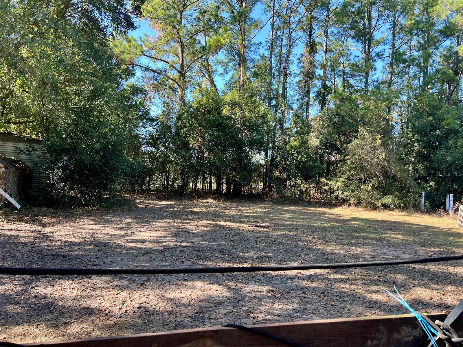 11820 NW Highway 225 Reddick FL 32686 OM716534 image5
