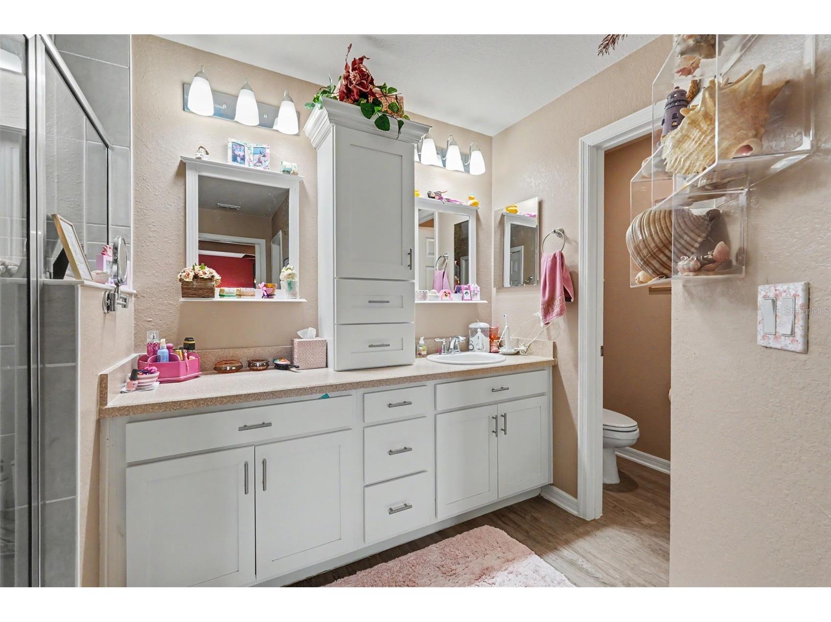 11820 Stone Pine Street Riverview FL 33569 TB8528501 image30