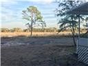 11821 SE 123rd Avenue Ocklawaha FL 32179 - BOWERS LAKE OM714604 image8