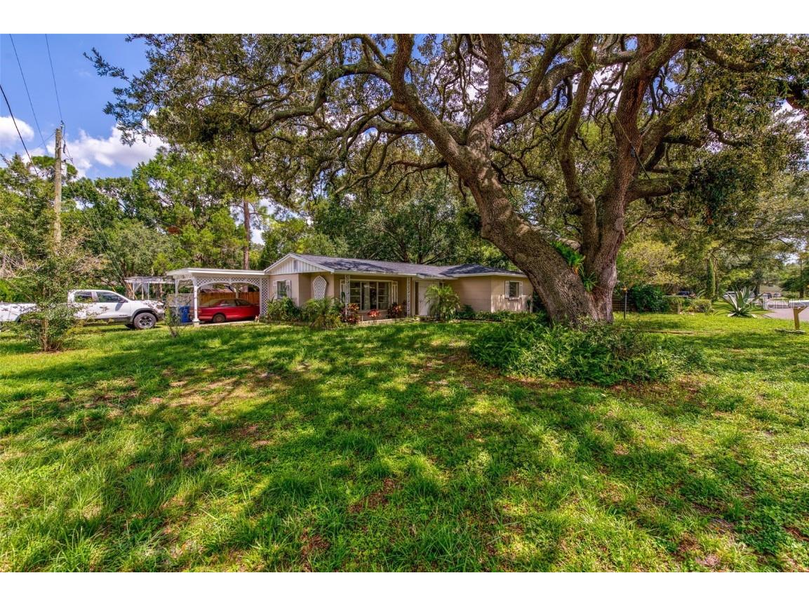 11821 Vera Avenue Tampa FL 33618 U8138803 image1