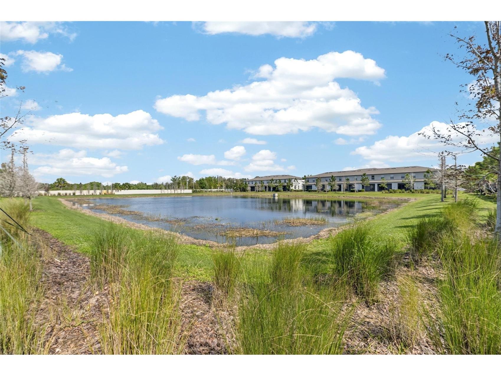 11822 Dumaine Valley Road Riverview FL 33579 TB8486891 image26
