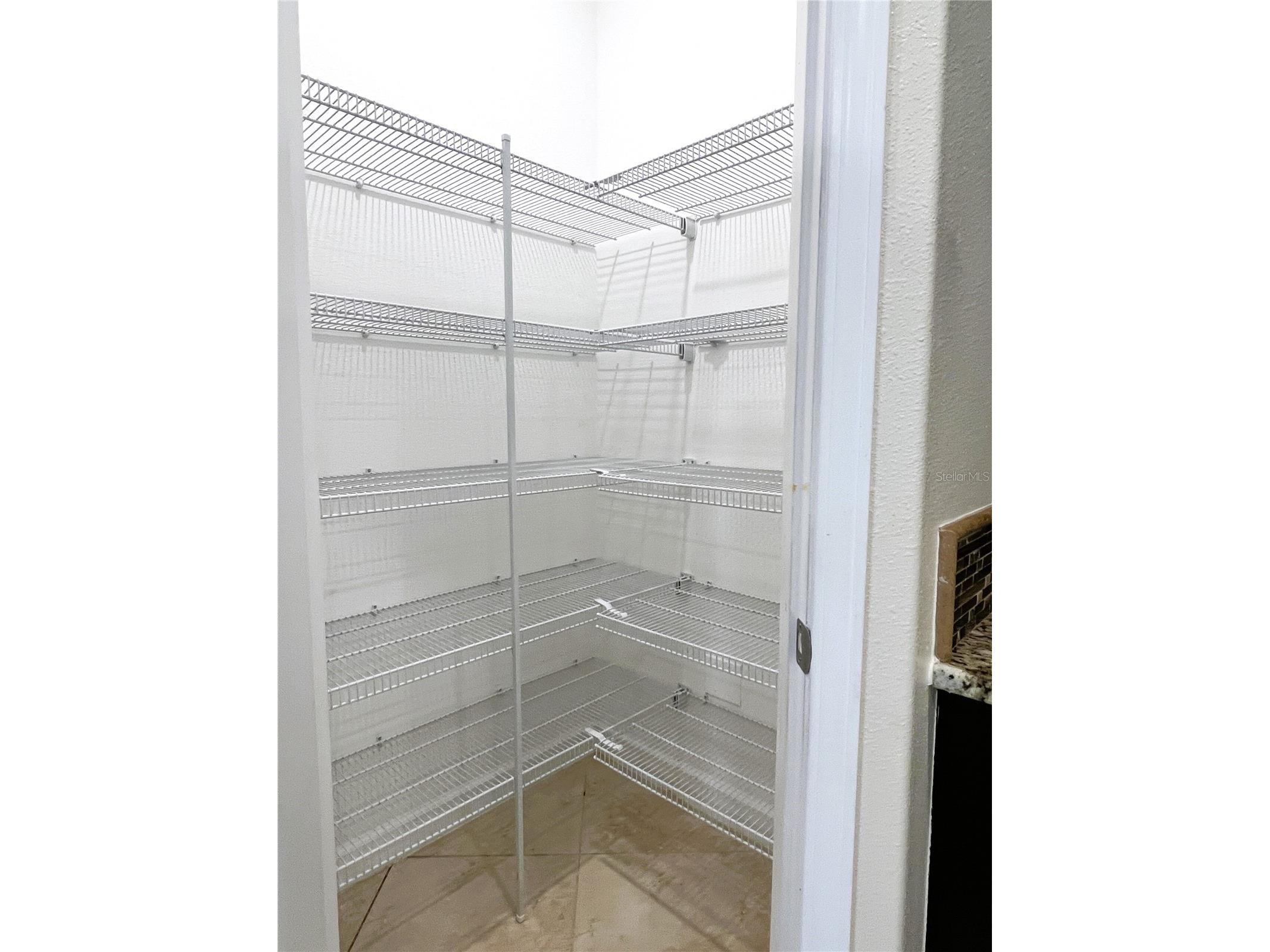 11822 Frost Aster Drive Riverview FL 33579 TB8462765 image11