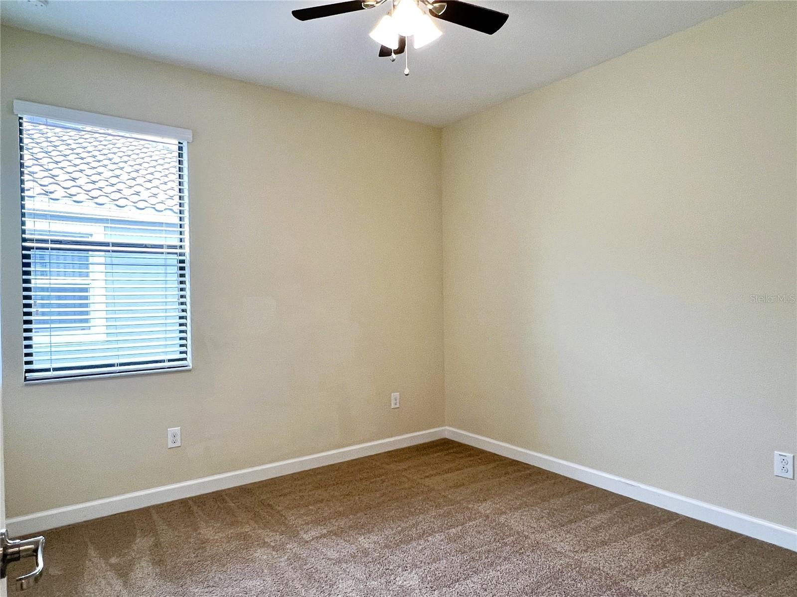 11822 Frost Aster Drive Riverview FL 33579 TB8462765 image20