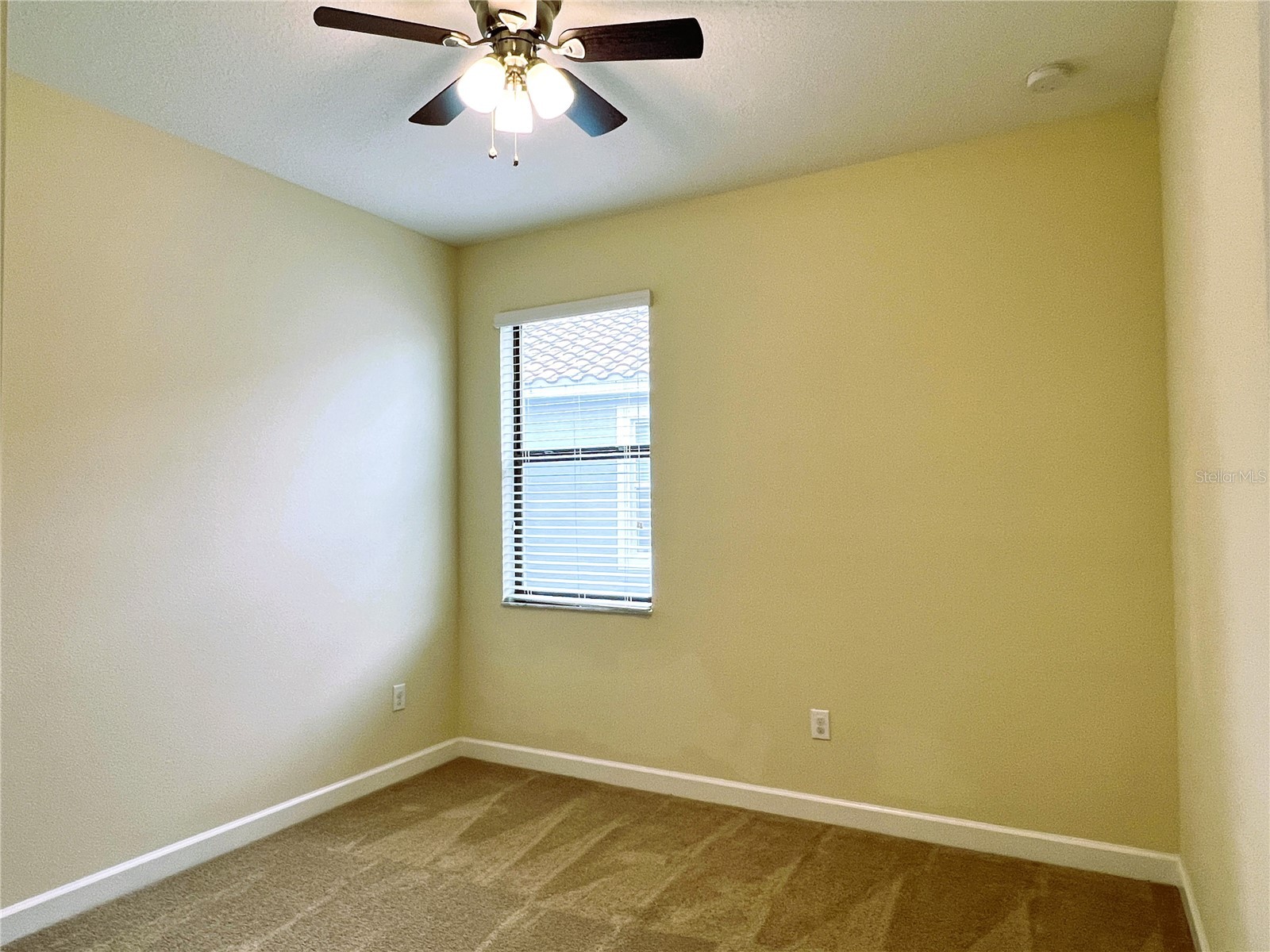 11822 Frost Aster Drive Riverview FL 33579 TB8462765 image21