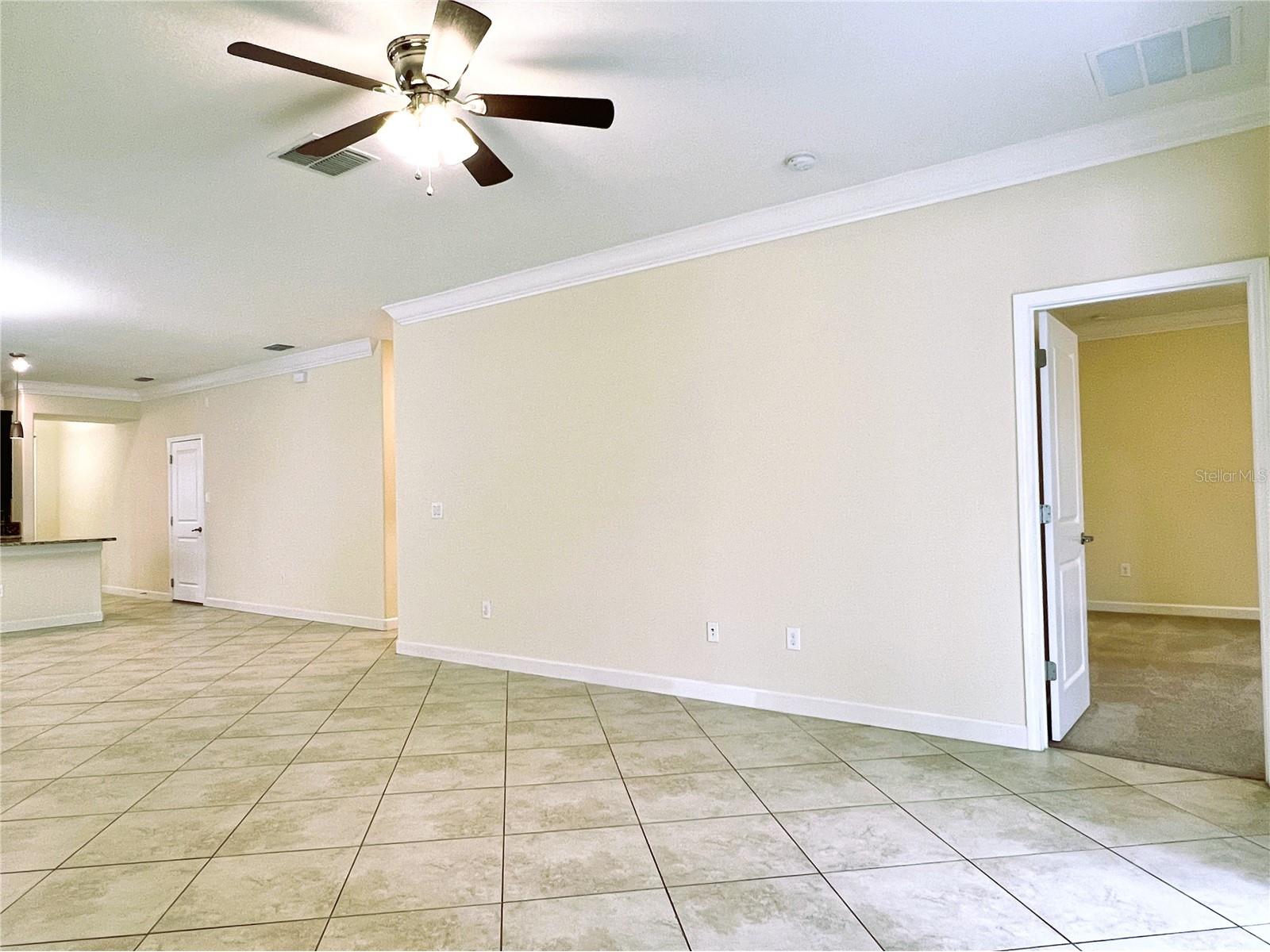 11822 Frost Aster Drive Riverview FL 33579 TB8462765 image23