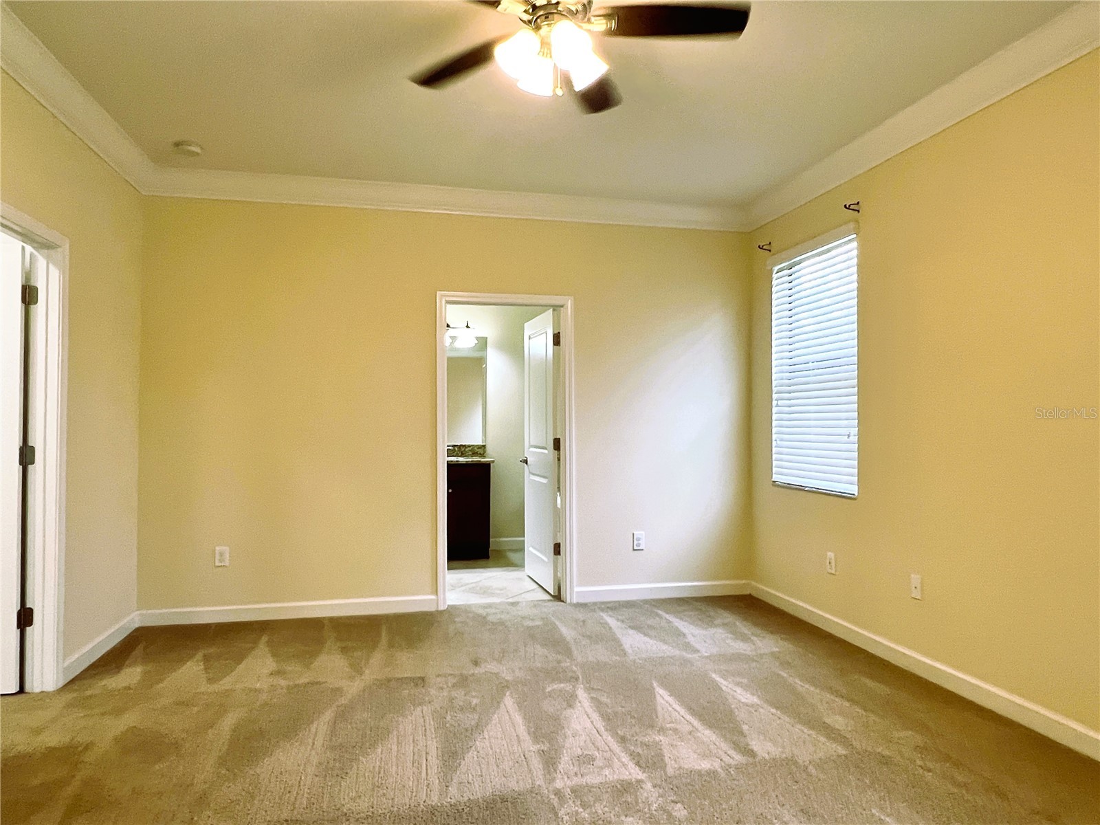 11822 Frost Aster Drive Riverview FL 33579 TB8462765 image27