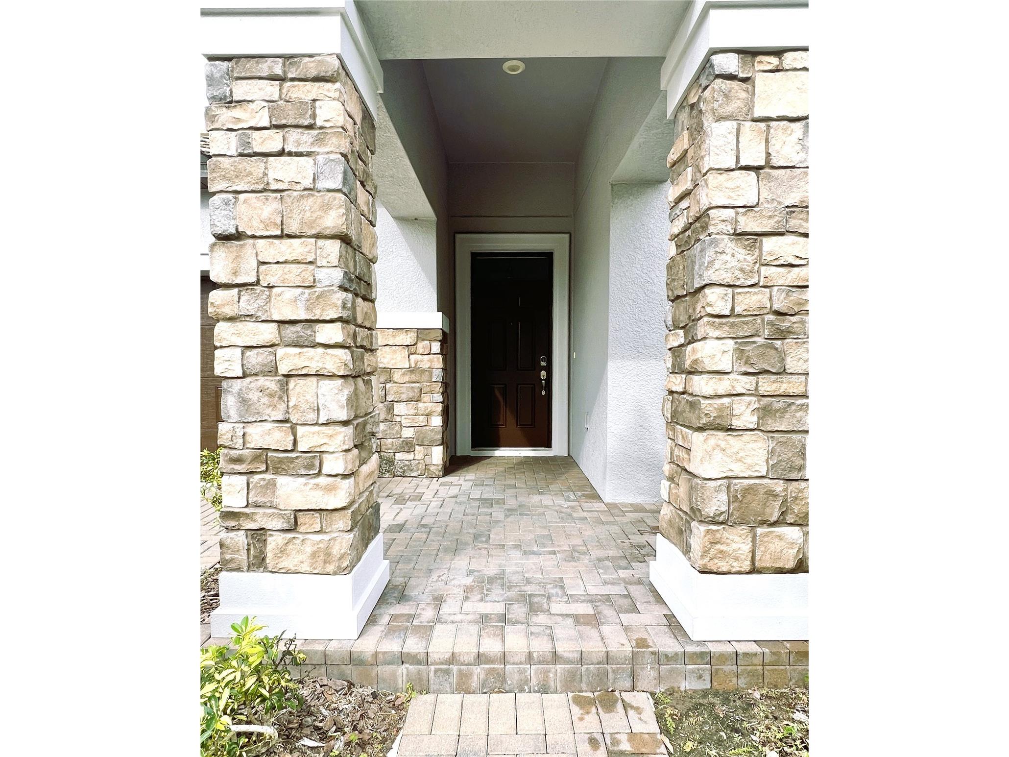 11822 Frost Aster Drive Riverview FL 33579 TB8462765 image3