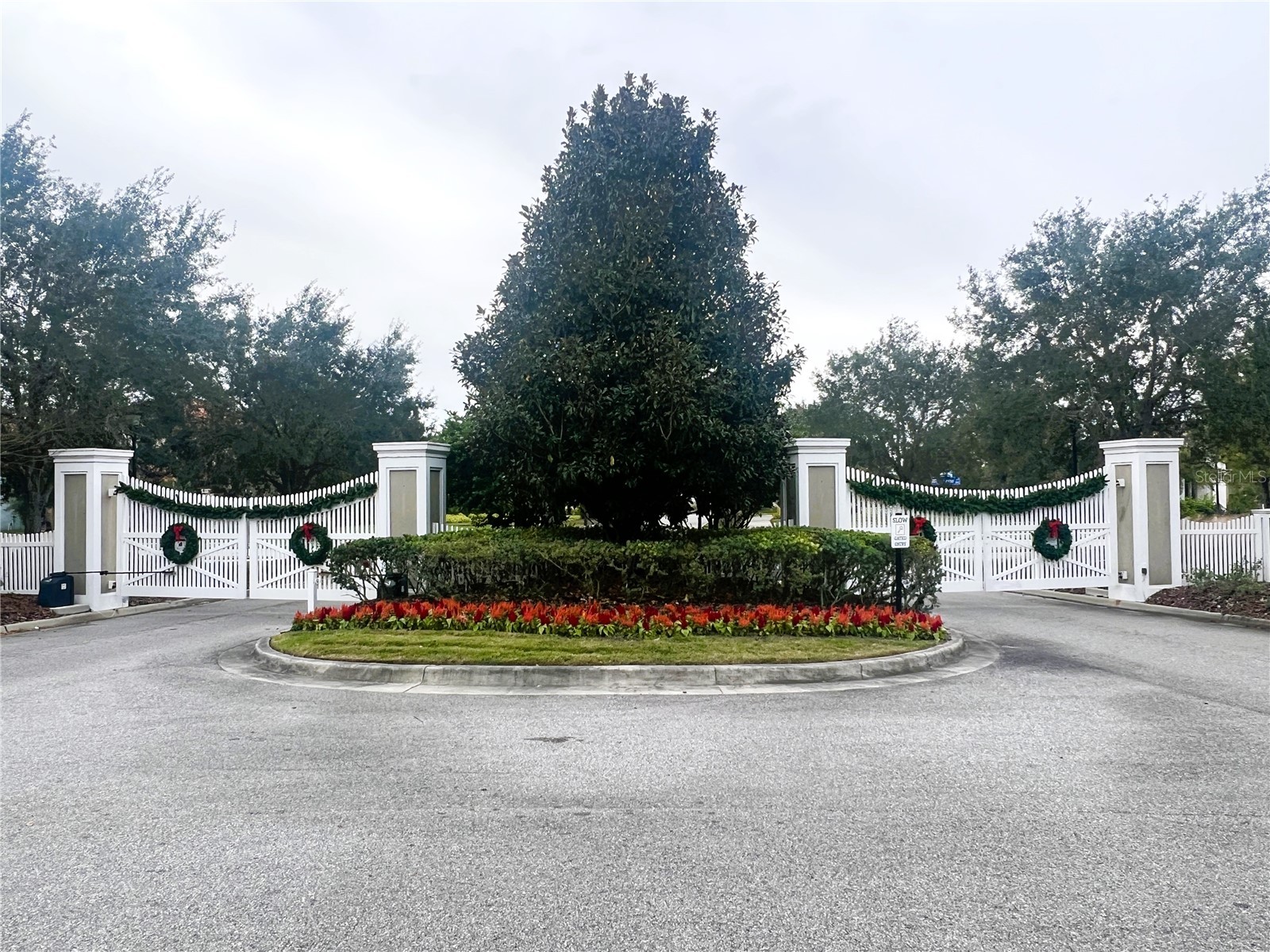 11822 Frost Aster Drive Riverview FL 33579 TB8462765 image36