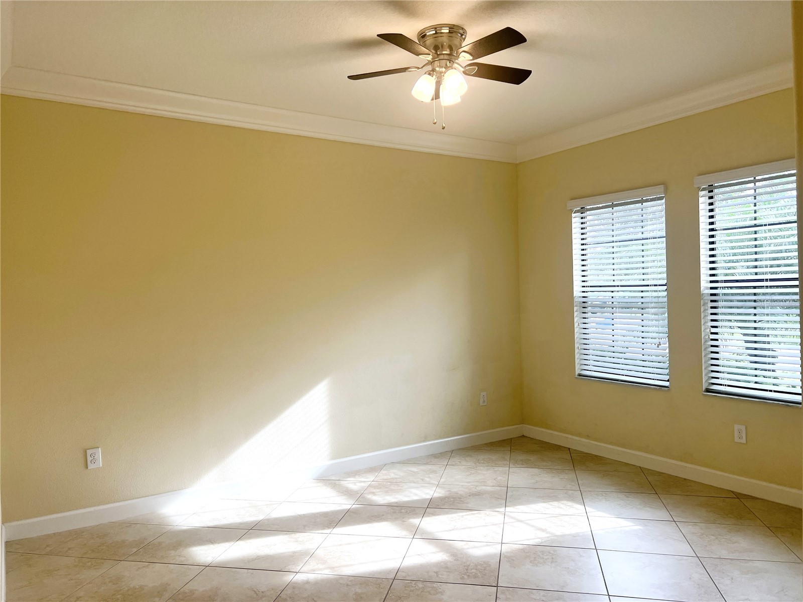 11822 Frost Aster Drive Riverview FL 33579 TB8462765 image5