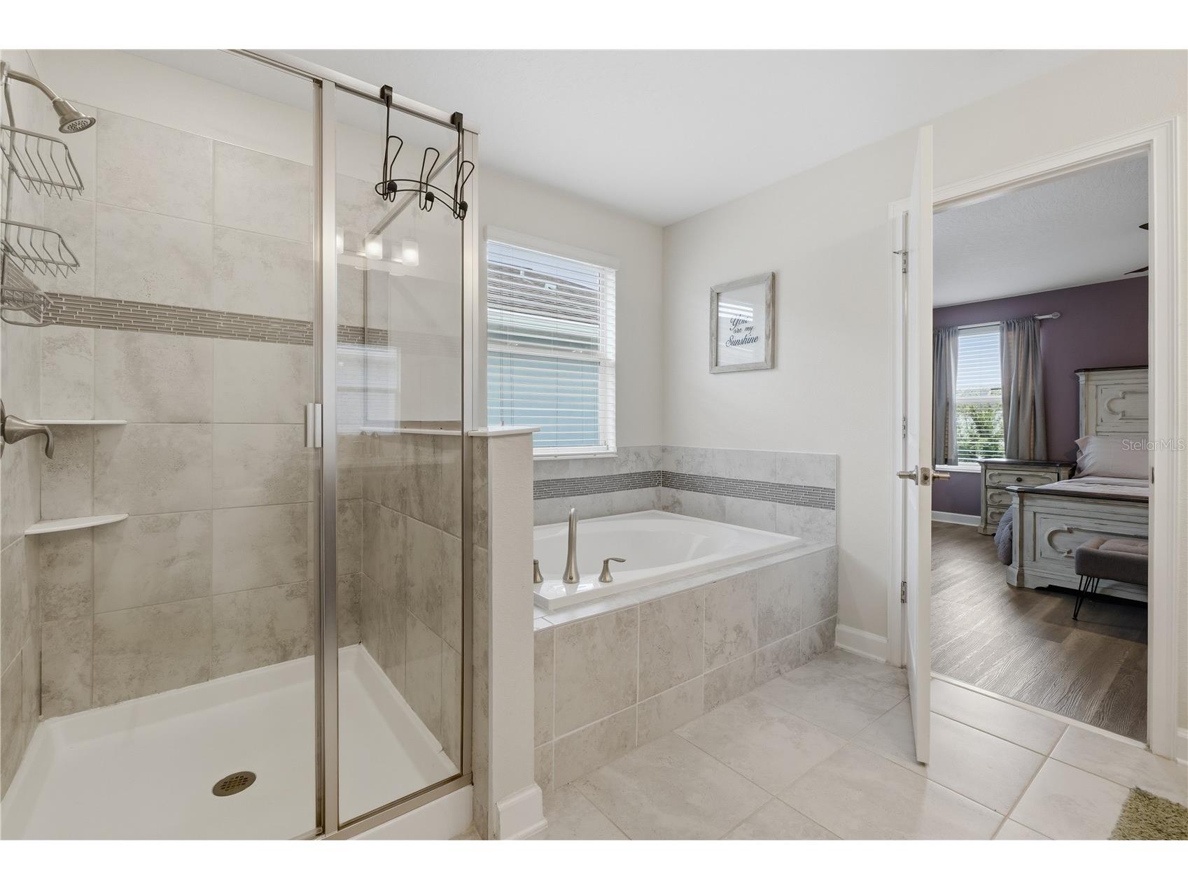 11822 Philosophy Way Orlando FL 32832 O6427422 image30