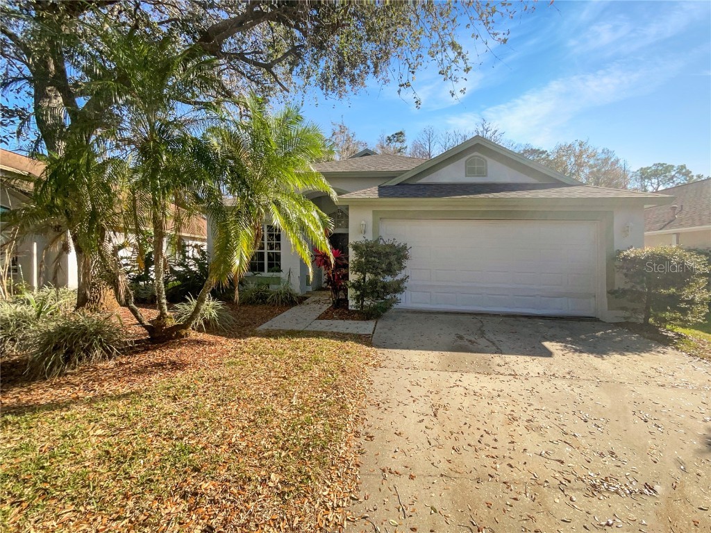 11823 Derbyshire Drive Tampa FL 33626 O6293747 image1