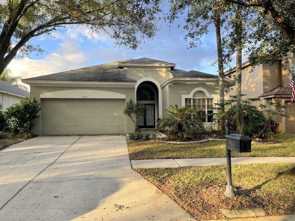 11823 Easthampton Drive Tampa FL 33626 T3344423 image1