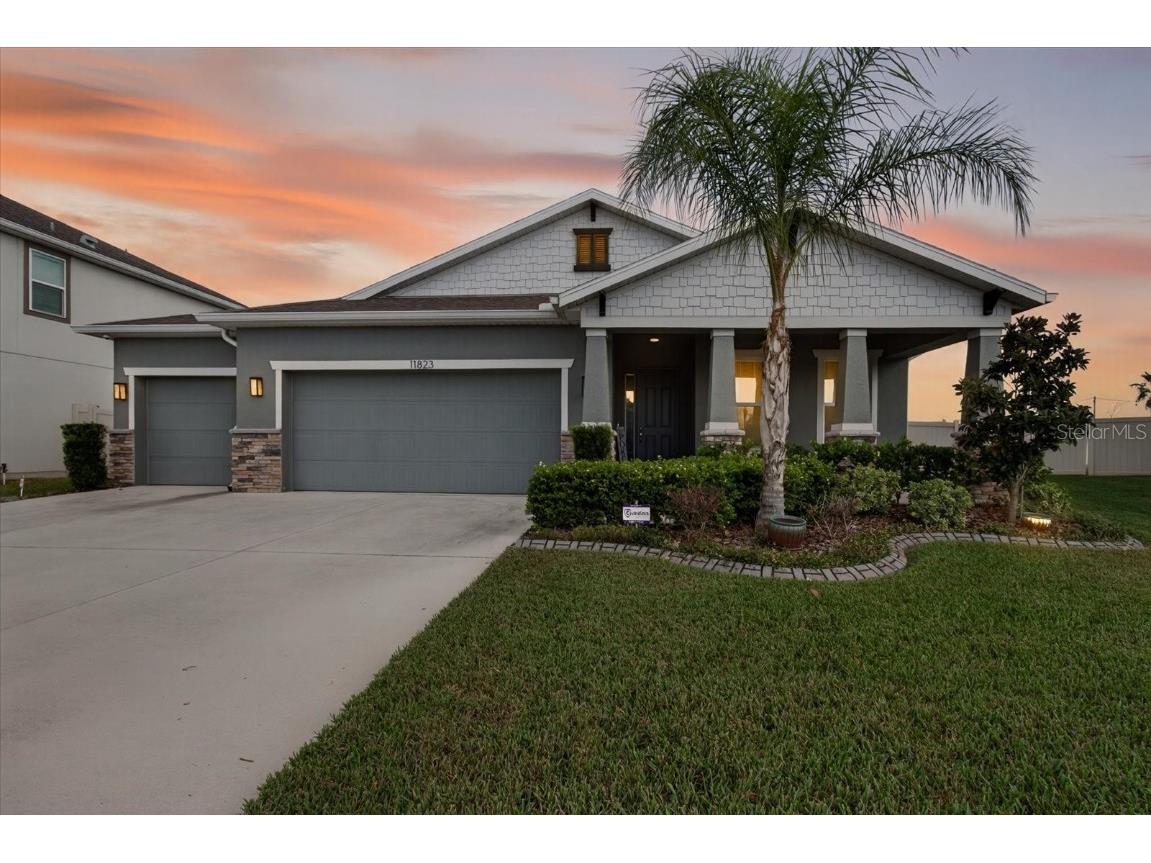 11823 Tetrafin Drive Riverview FL 33579 A4672903 image1