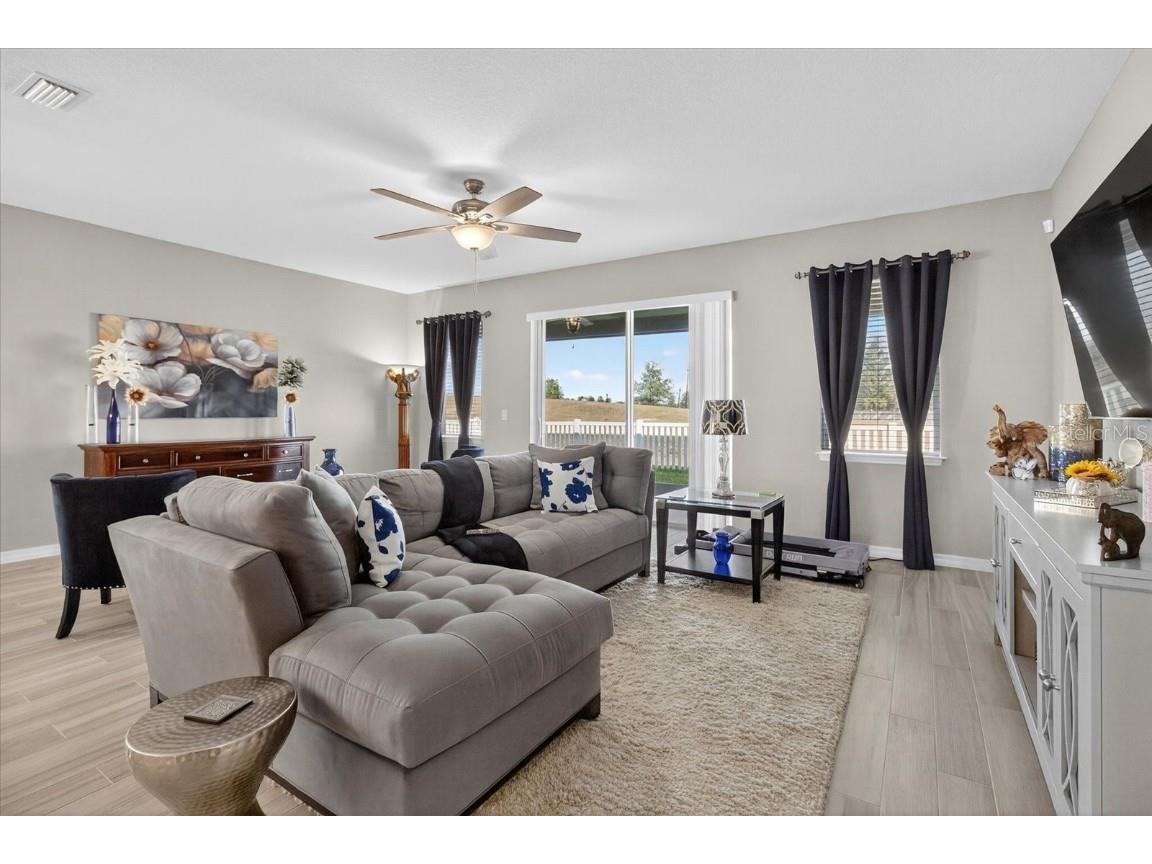 11823 Tetrafin Drive Riverview FL 33579 A4672903 image31